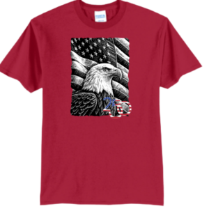 Black and White Eagle
