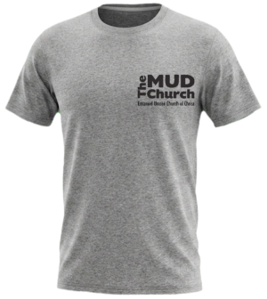 Gray T Shirt